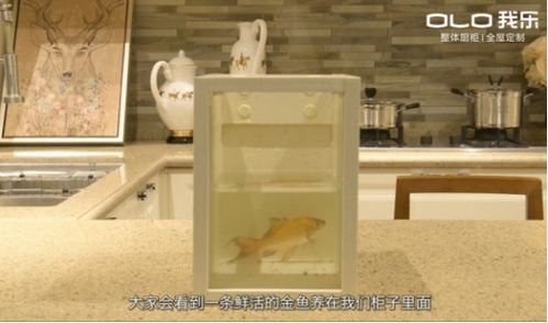 全屋定制哪个品牌好？我乐家居用实力获消费者认可
